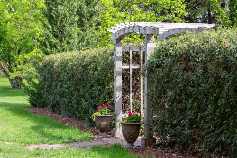 Arbor Replacement in Wilmington, NC