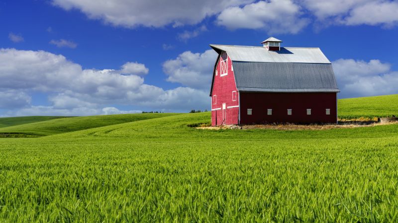 Barn Installation in Alpharetta, GA